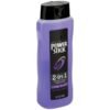 Power Stick 2in1 Shower Gel + Shampoo Cool Blast All Day Fresh 532ml